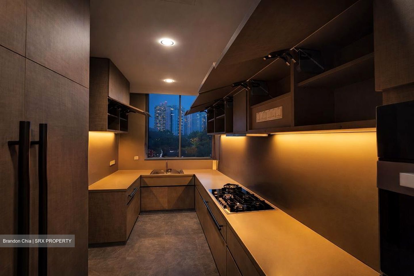 Meyerhouse (D15), Condominium #523698031